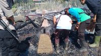 IMG-20260908-WA0177(1)
